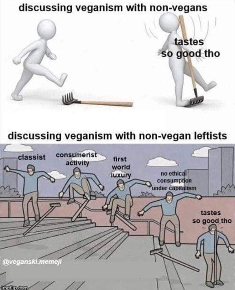 riⓋer Haoshoku Haki tweet media