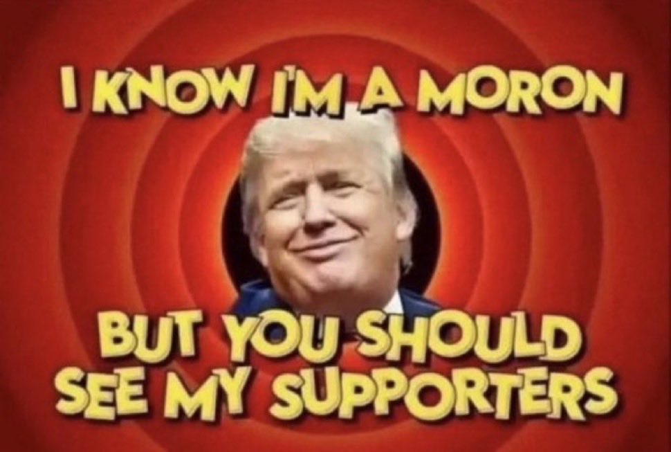 The Shadows 🇵🇸🇨🇦 tweet media