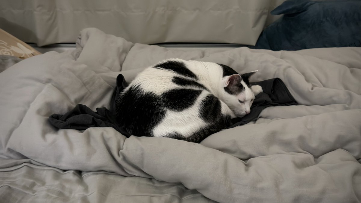 小俊這樣 tweet media