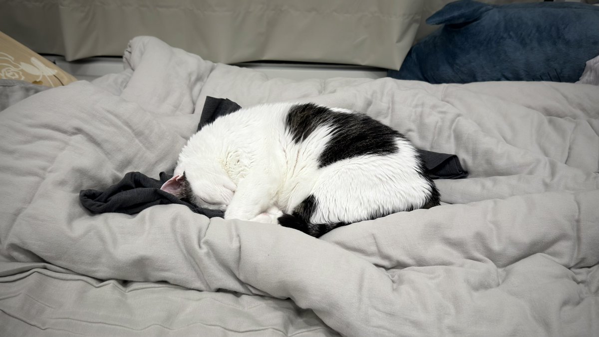 小俊這樣 tweet media