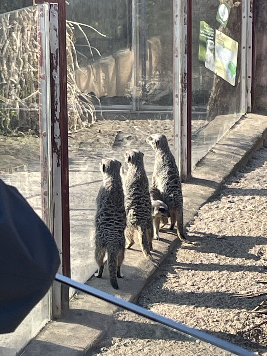 Jem Roberts: Author &c. tweet media