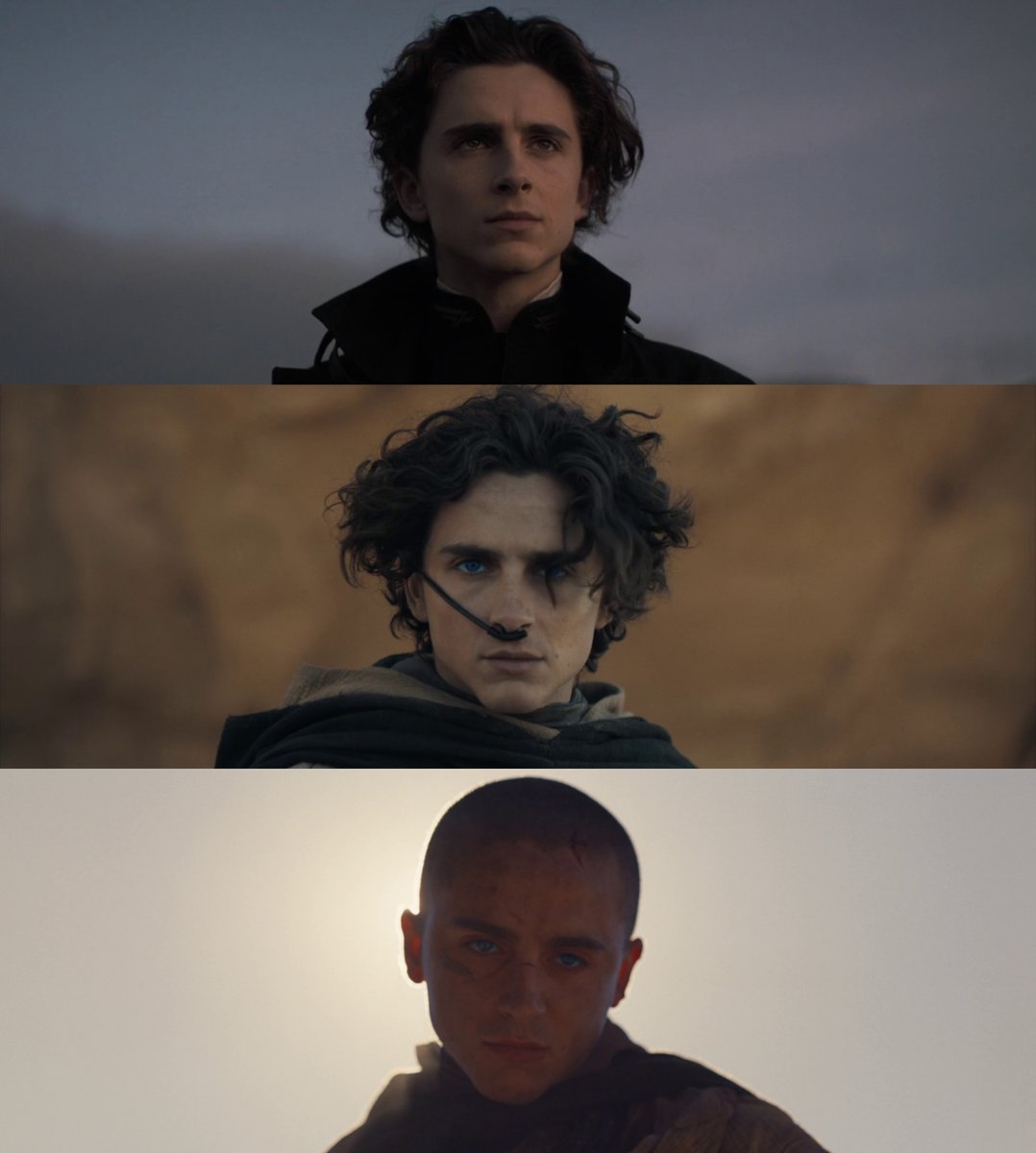 Shadow Knight tweet media