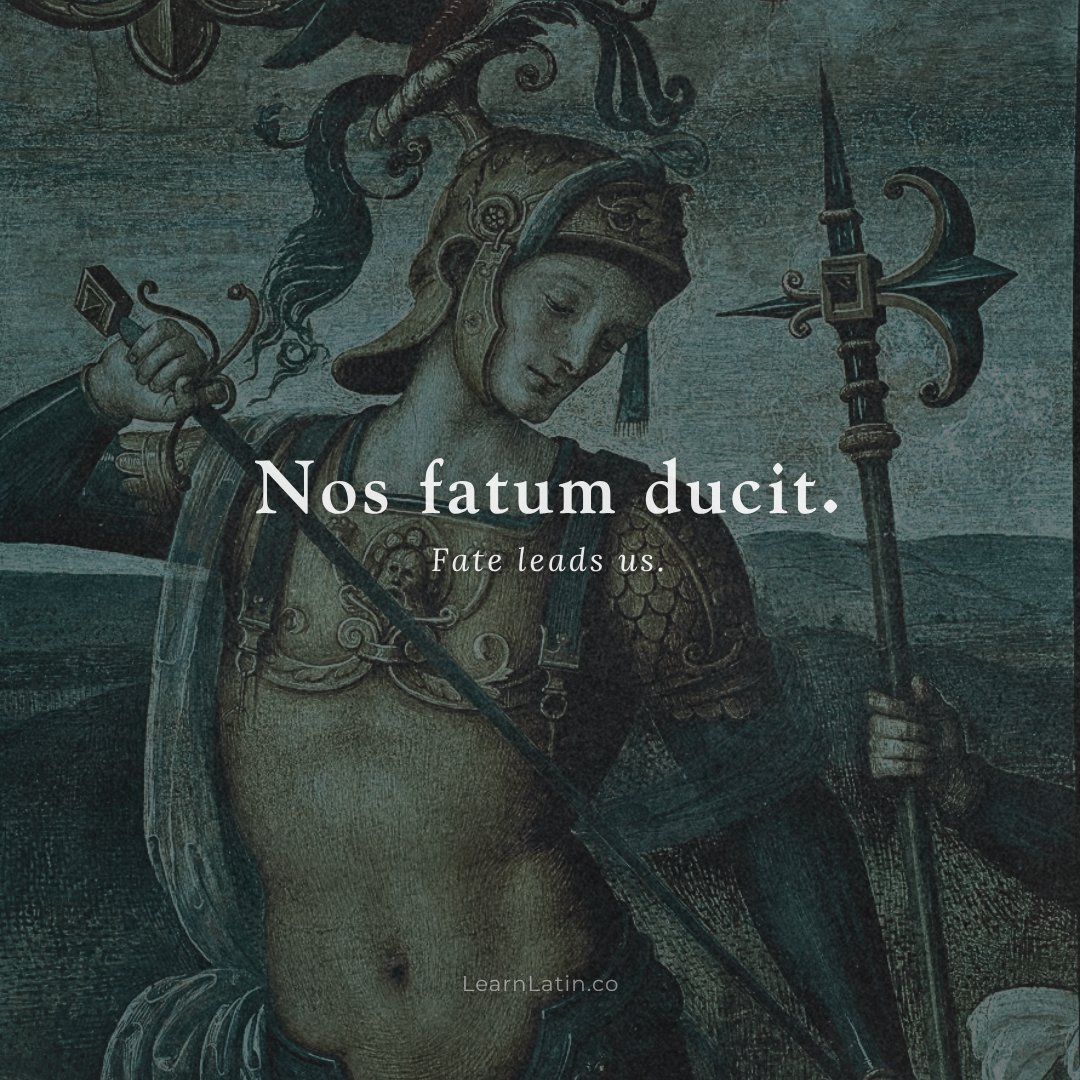 Learn Latin tweet media