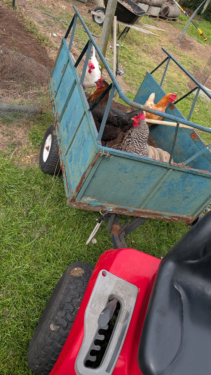 Lancer Shull tweet media