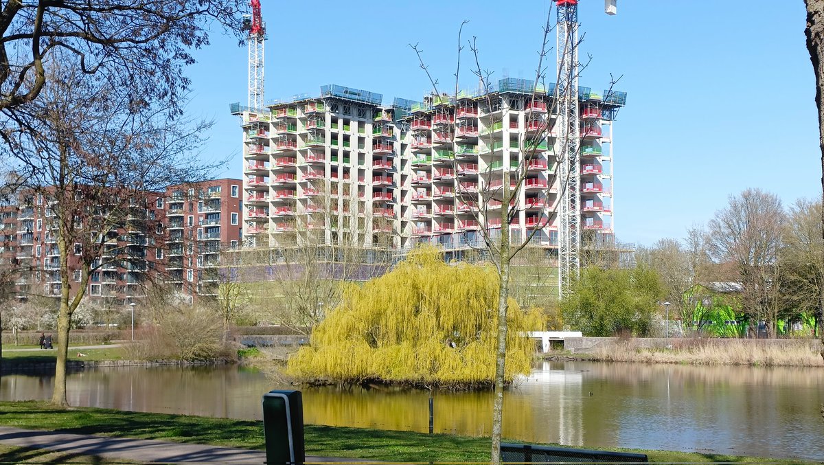 Ramon Poulissen tweet media