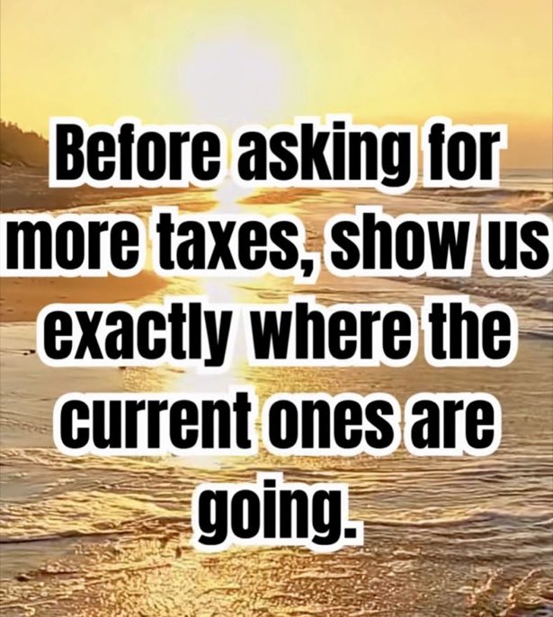 Patsyann🐾🐾🐈🍒 tweet media