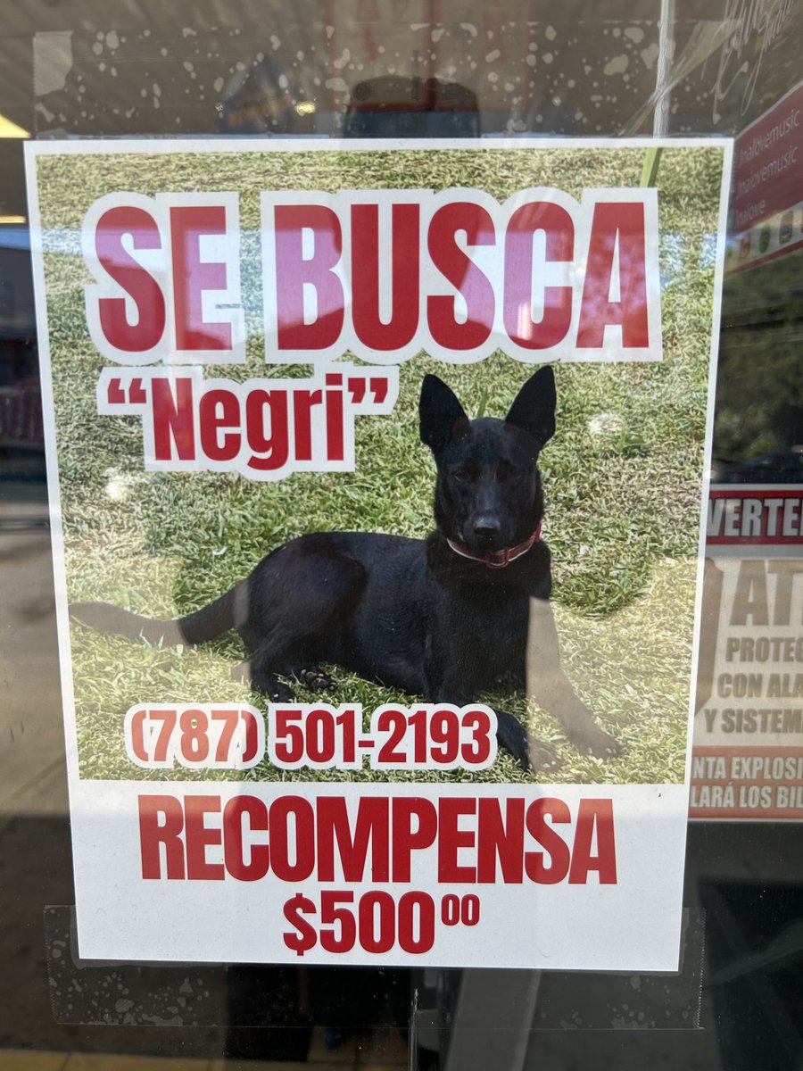 Benjamín Torres Gotay 🇵🇷 tweet media