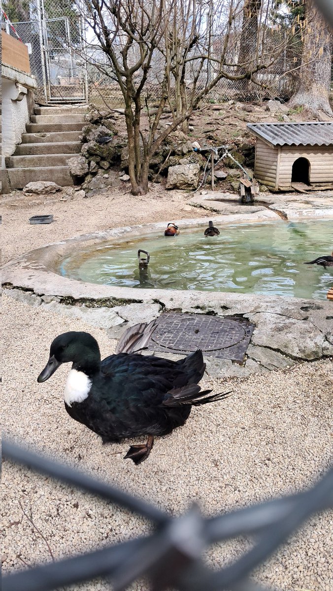 R   0   |3   |   |\| tweet media