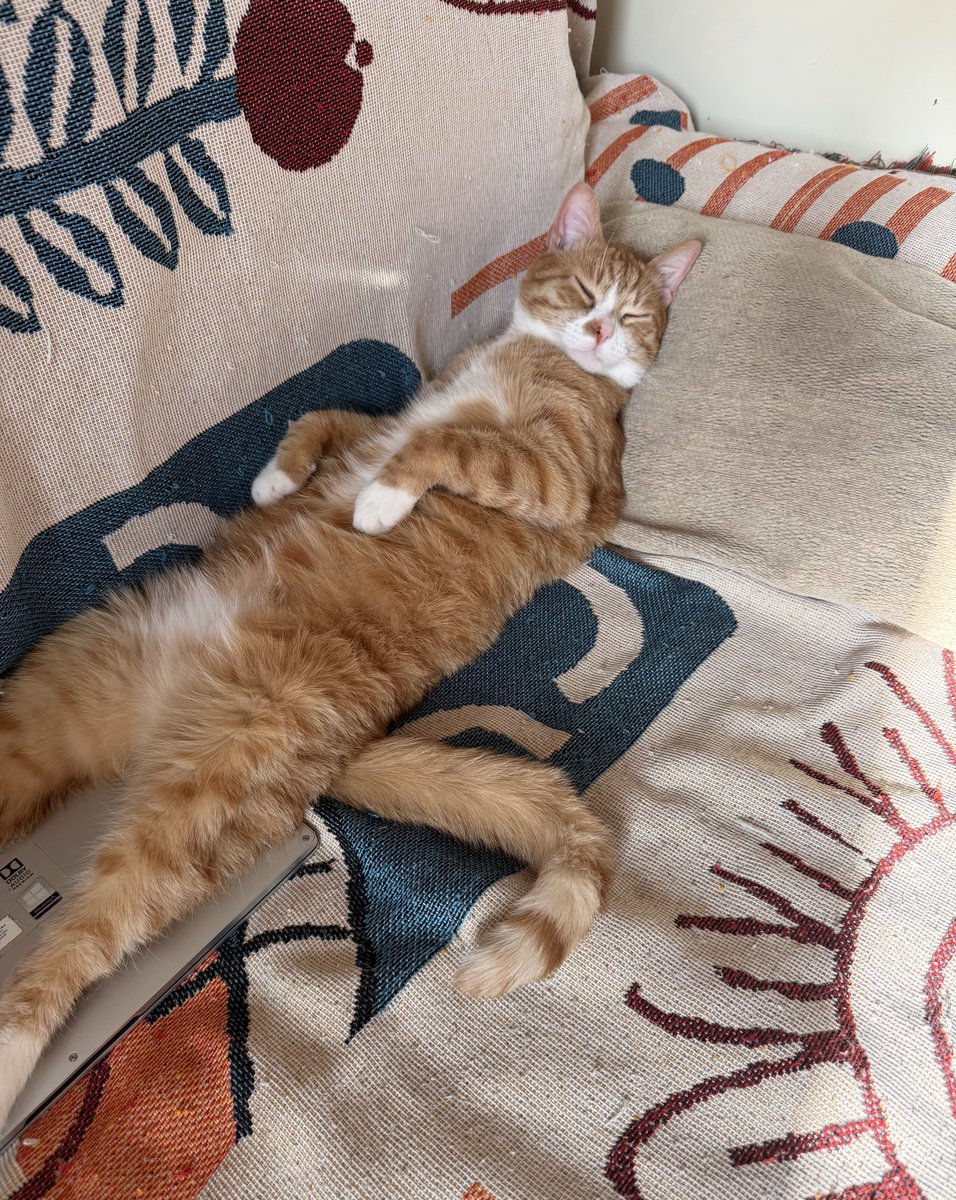 эчпочмоня tweet media