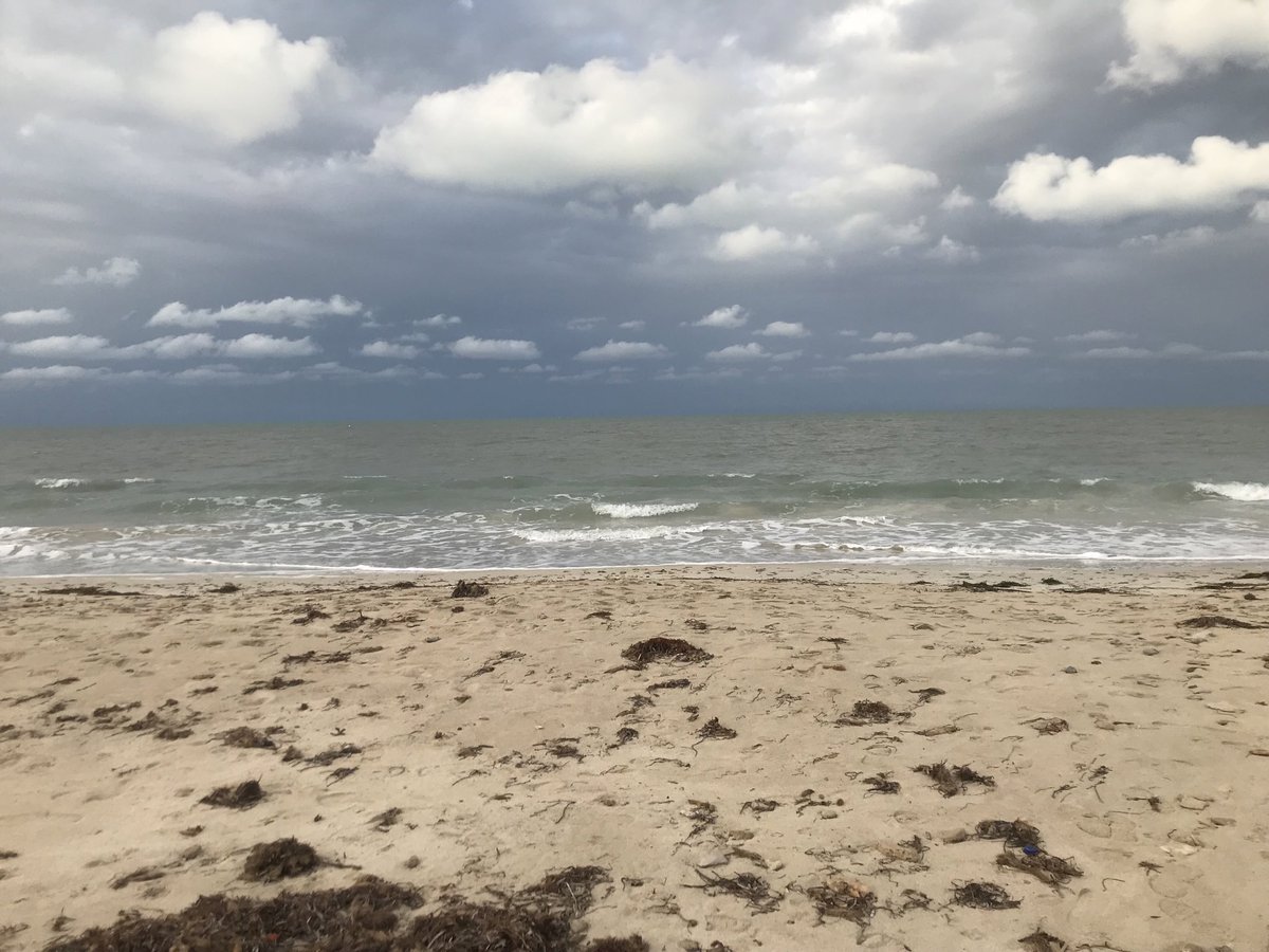 Oussama Chourou tweet media