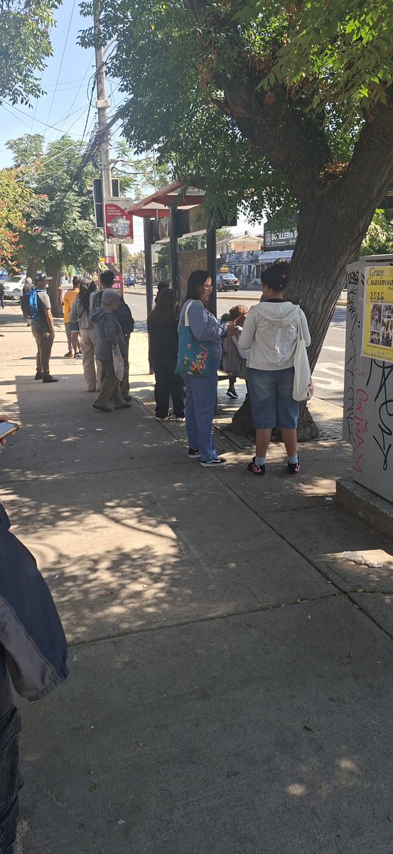 Carlos 😎 tweet media