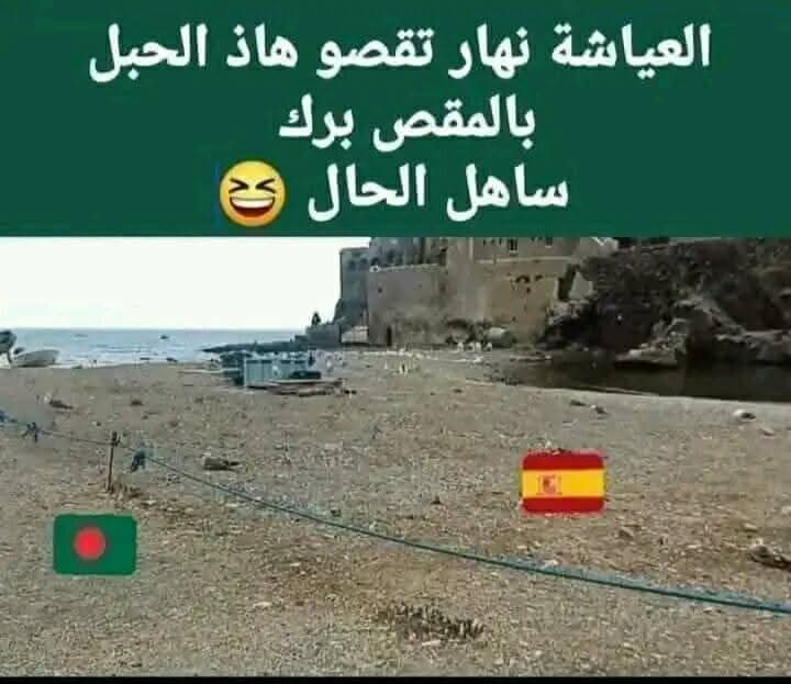 for the best tweet media