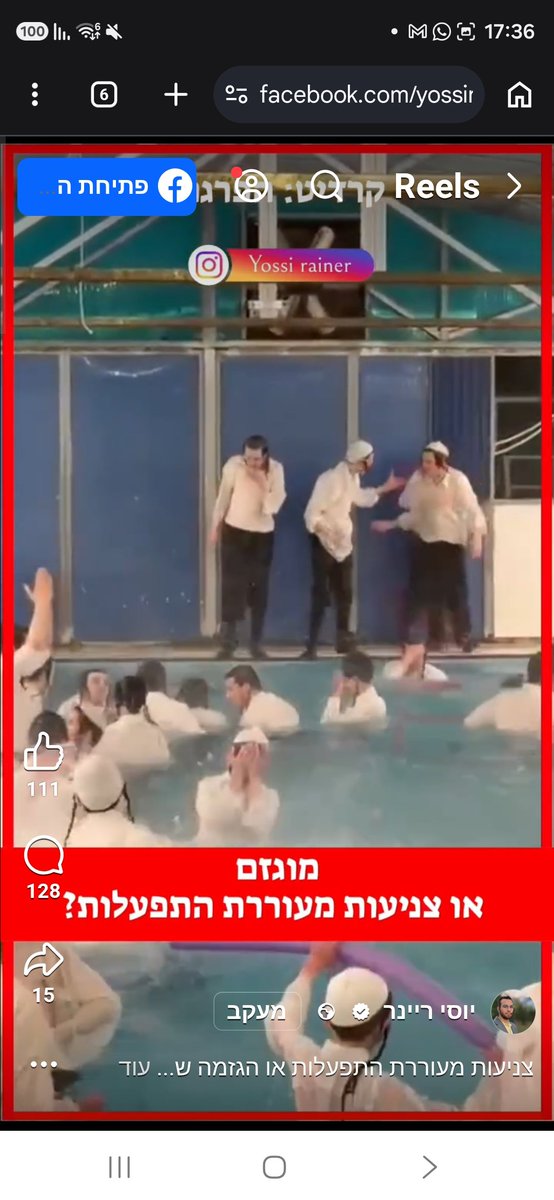 Gilad levi - kopelman جلعاد ليفي-كوبلمان tweet media