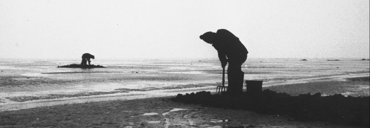 Iglesias Etxezarreta tweet media