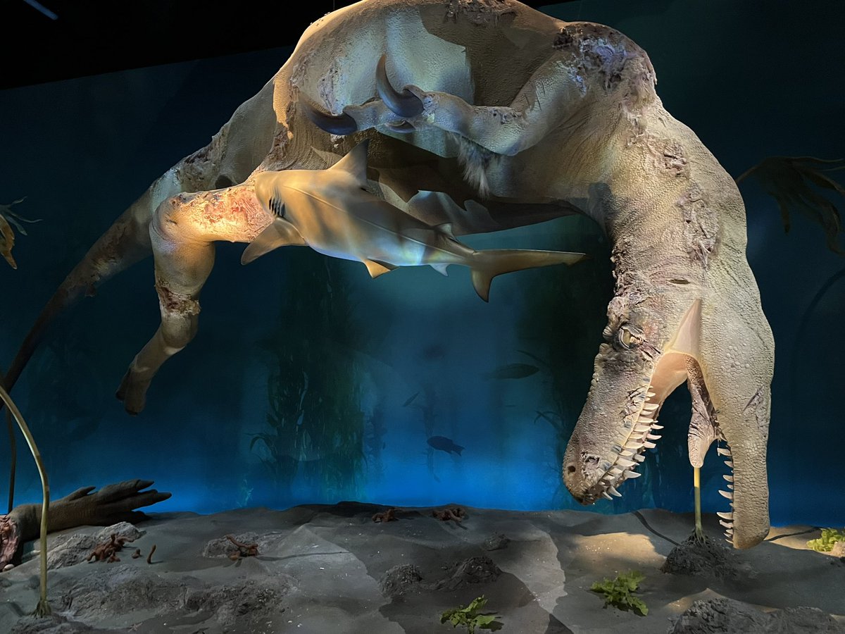 Ausarchosaur tweet media