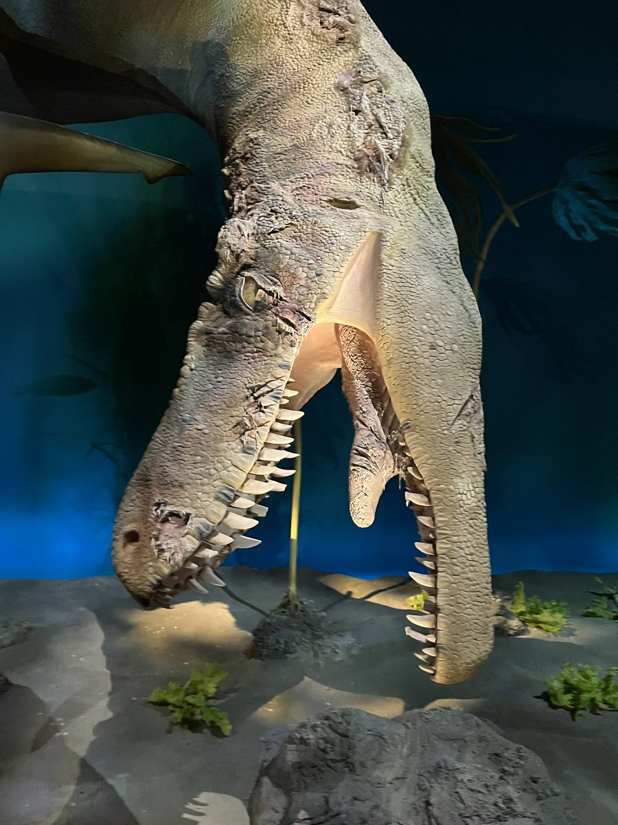 Ausarchosaur tweet media