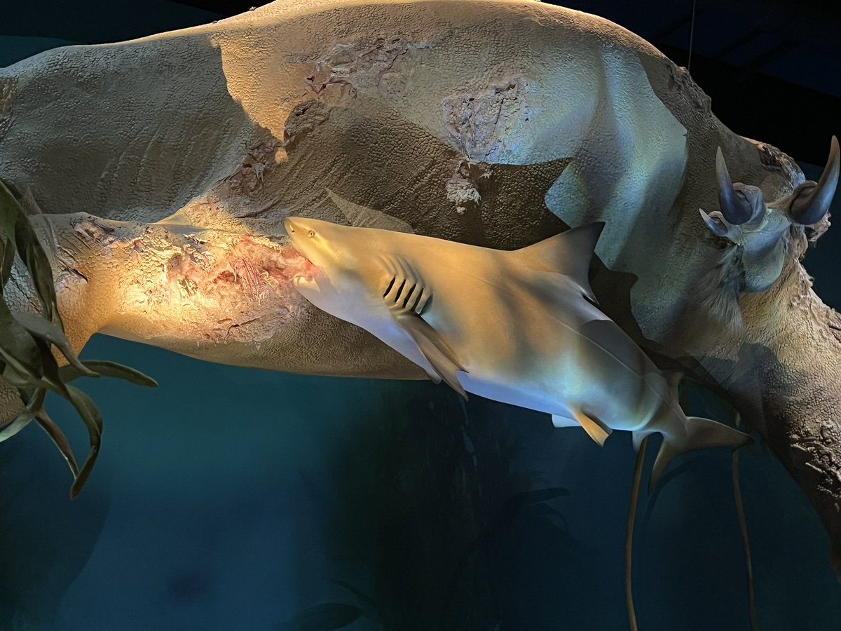 Ausarchosaur tweet media