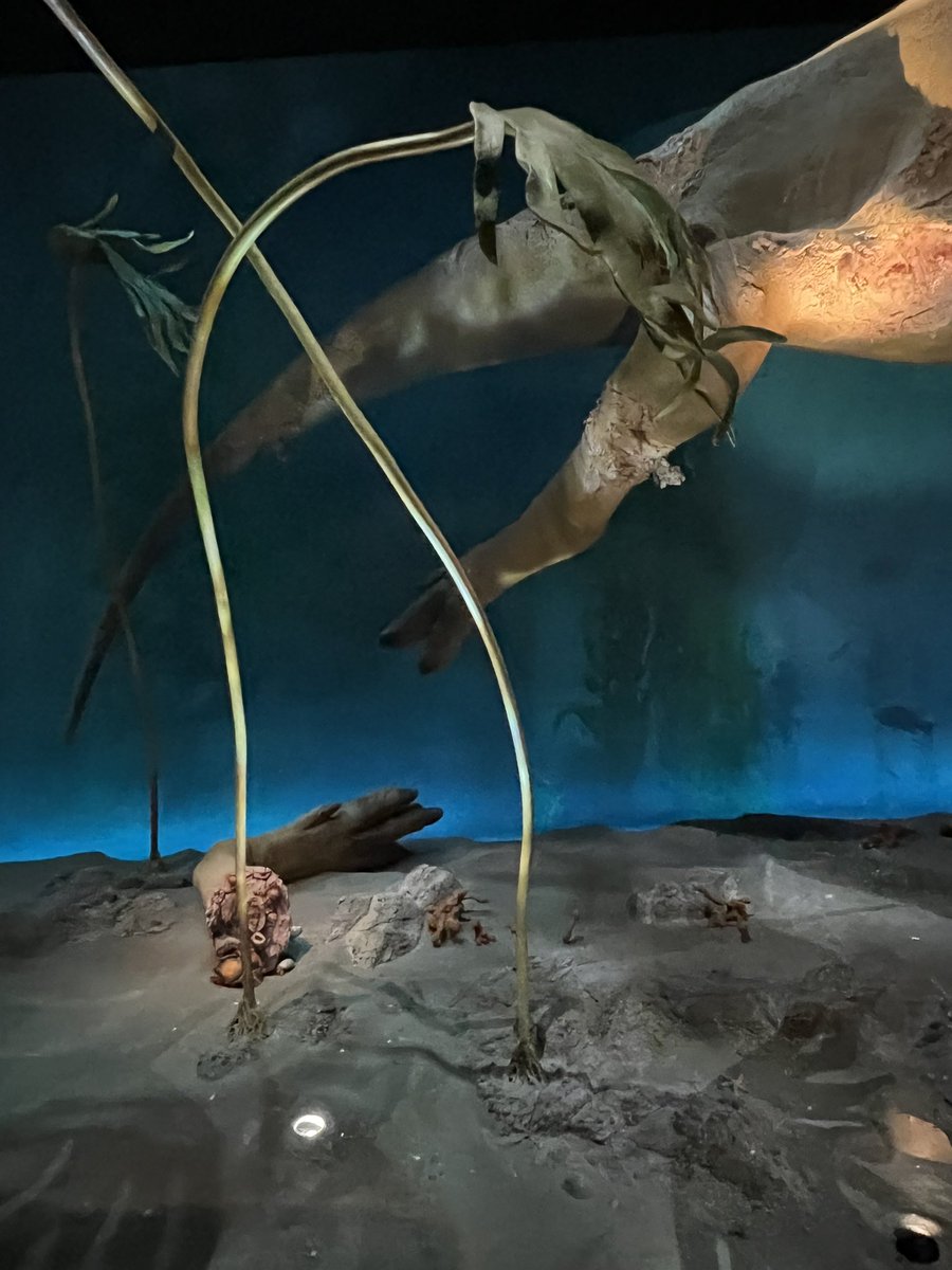 Ausarchosaur tweet media