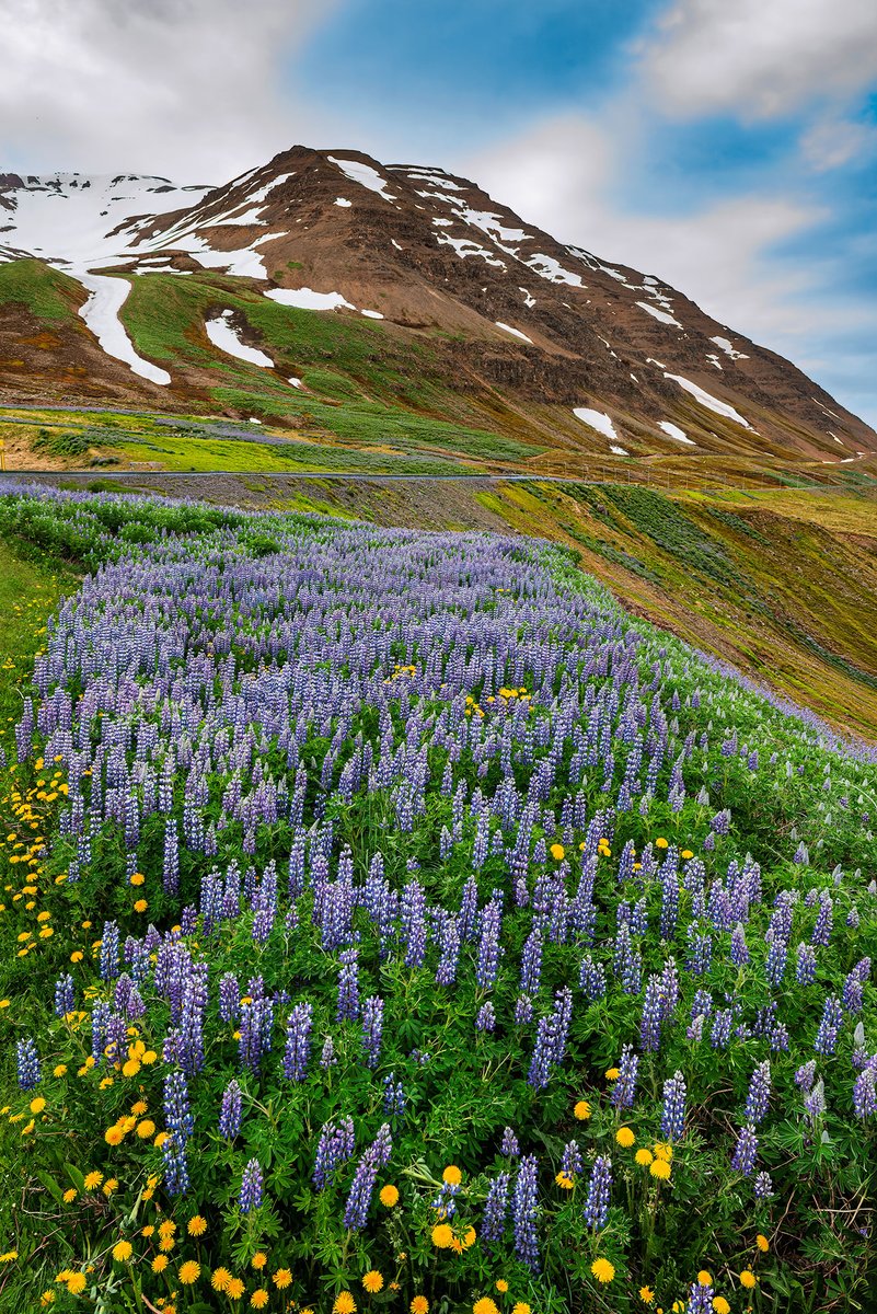 Jure Kravanja Yurko tweet media