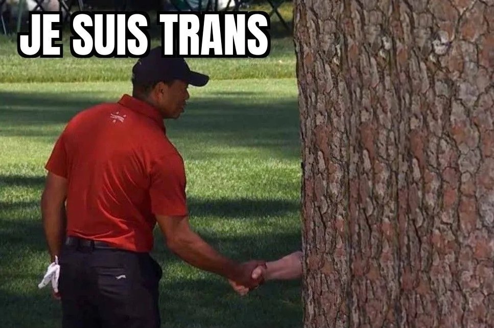 L'abominable Lisa 🏳️⚧️ tweet media