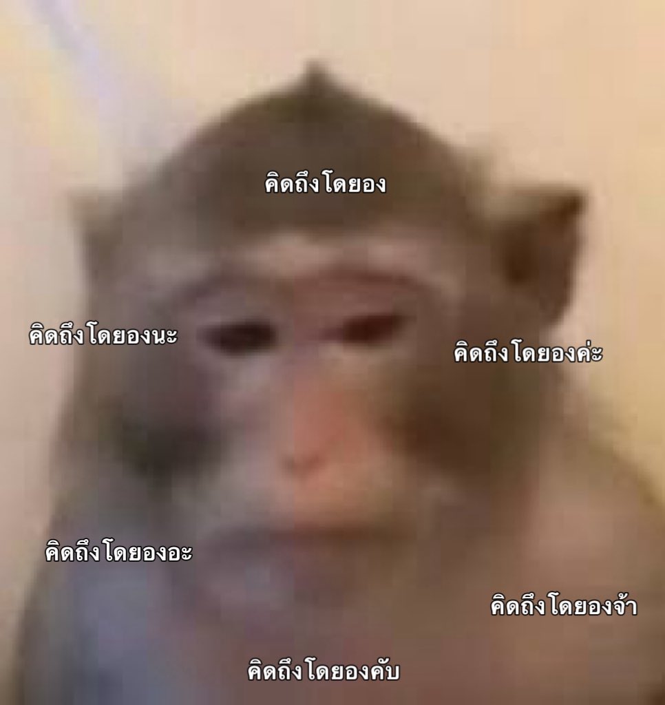 lovdy ʚ🐰ɞ promise ˚✿ tweet media