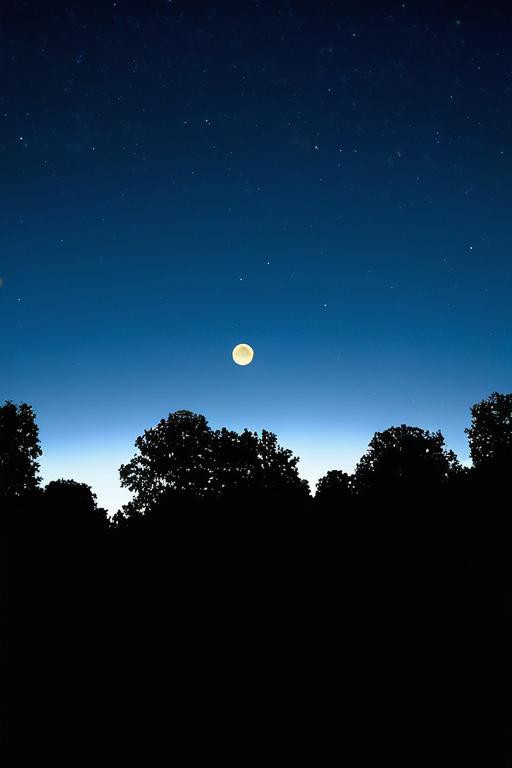 Emanuele Grilli tweet media