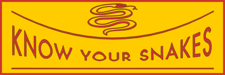 Sometimes, in order to improve, you have to remove something.