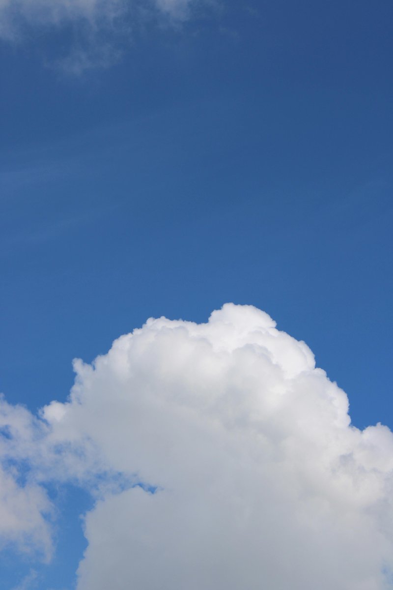 Jacob Crow tweet media