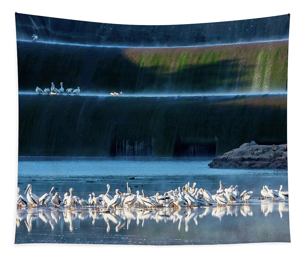 Debra Martz tweet media