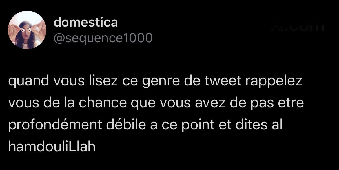 domestica tweet media