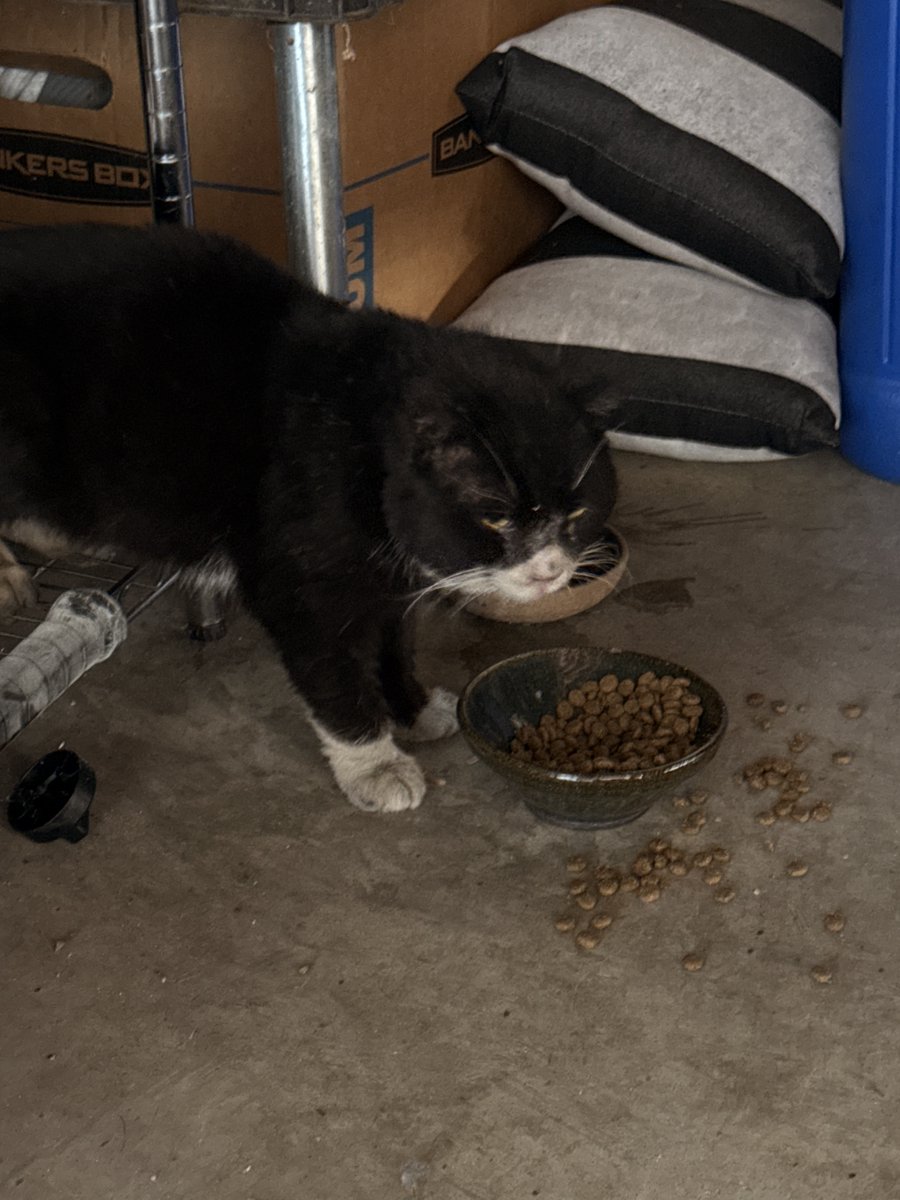 Jacob Hensley tweet media