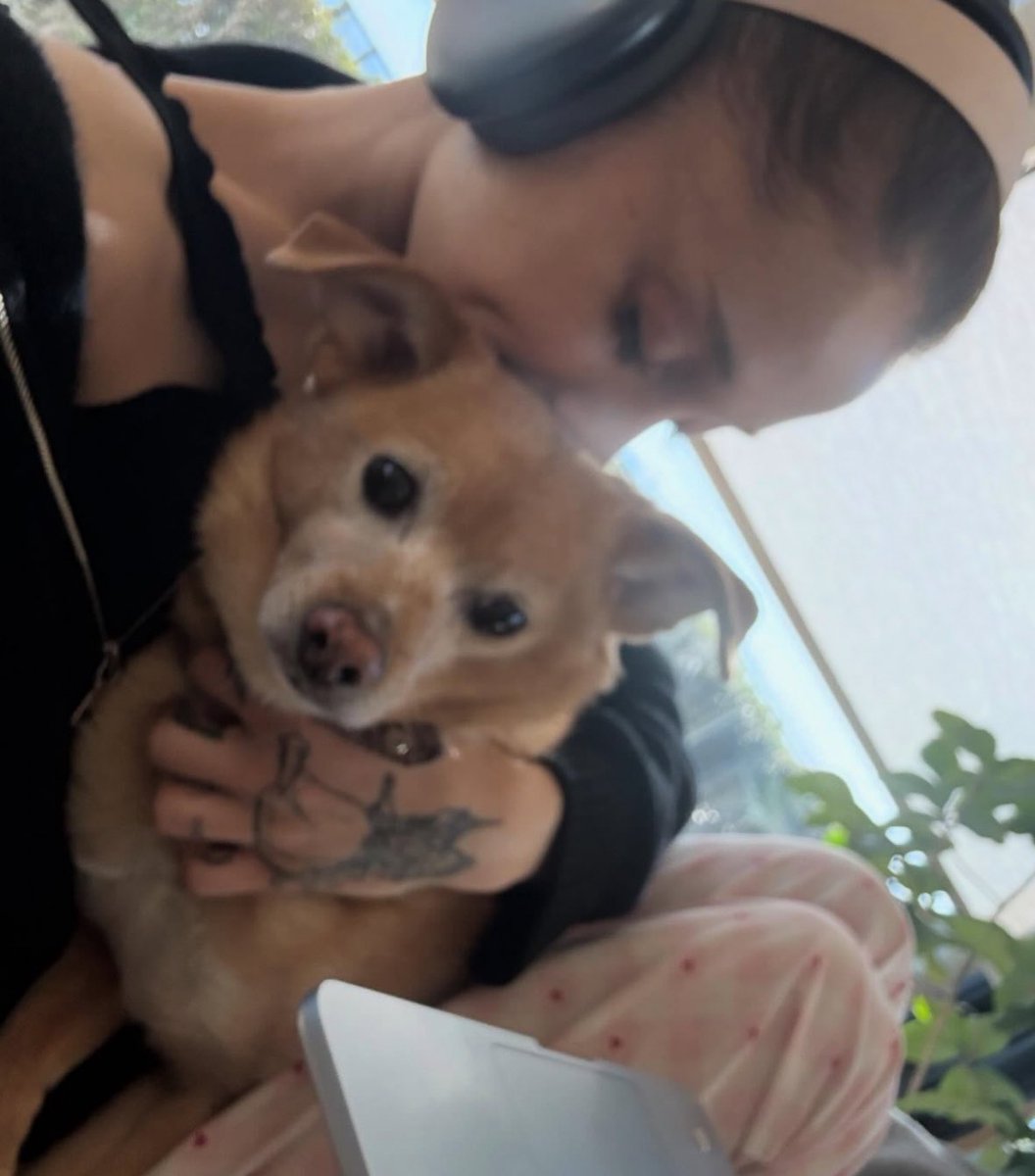 antonio 🐾 tweet media