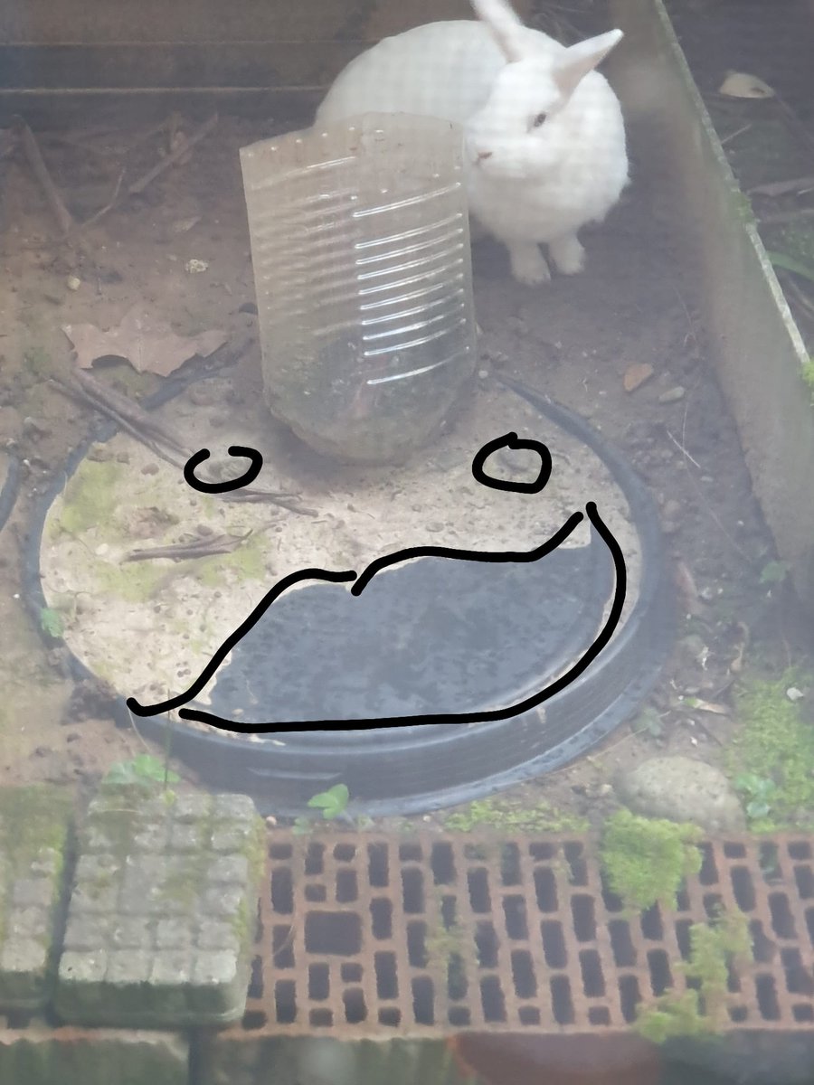 🚦⋆˚࿔laii || gtwscar connoisseur tweet media