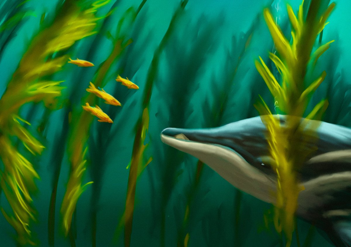 Gandhi Drawing tweet media