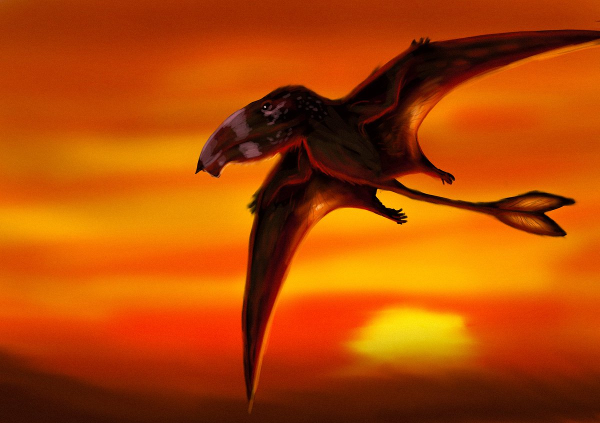 Gandhi Drawing tweet media