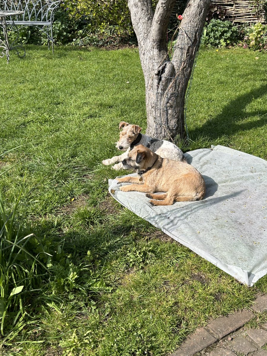 🍀LũckyStrike🍀 tweet media