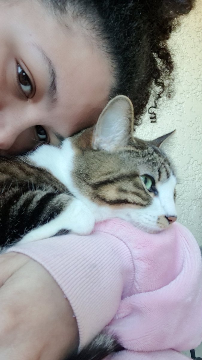 stuffie!🎈🐕 🔜 FWA tweet media