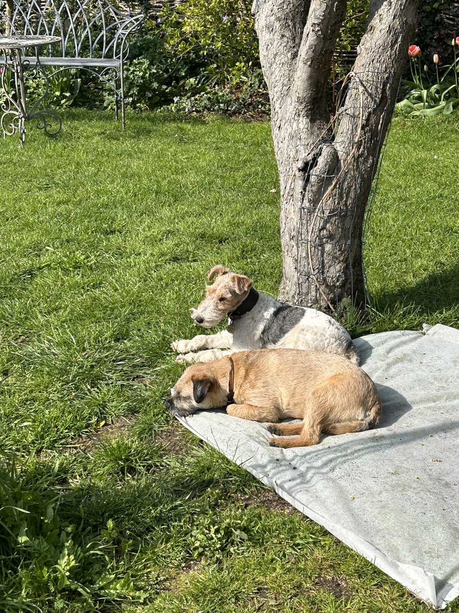 🍀LũckyStrike🍀 tweet media