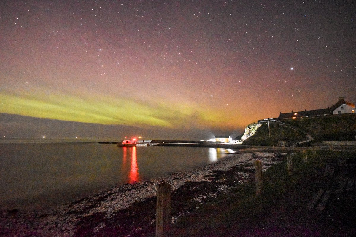 Sheryll-Anne tweet media