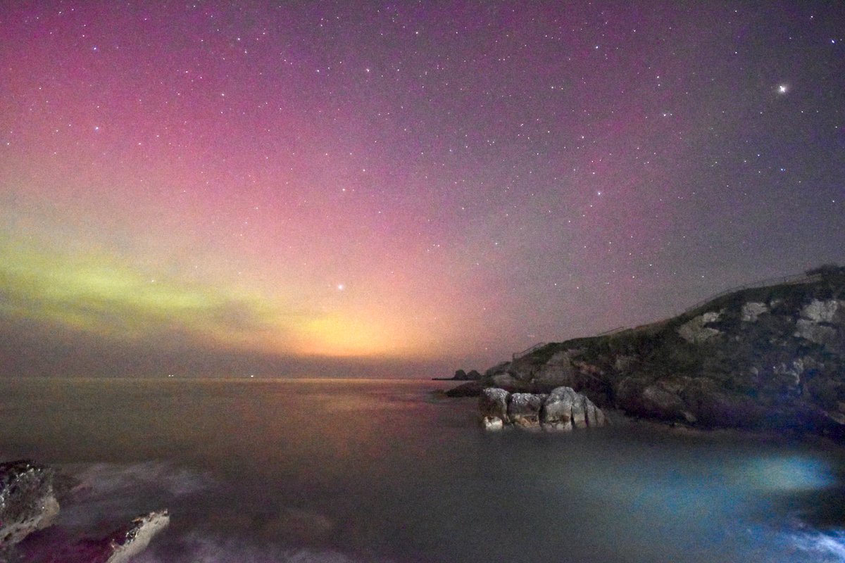 Sheryll-Anne tweet media