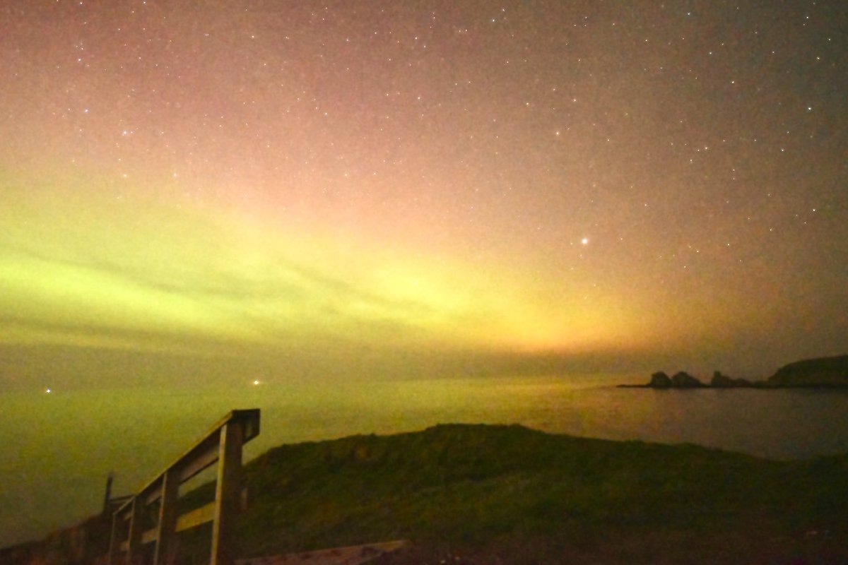 Sheryll-Anne tweet media