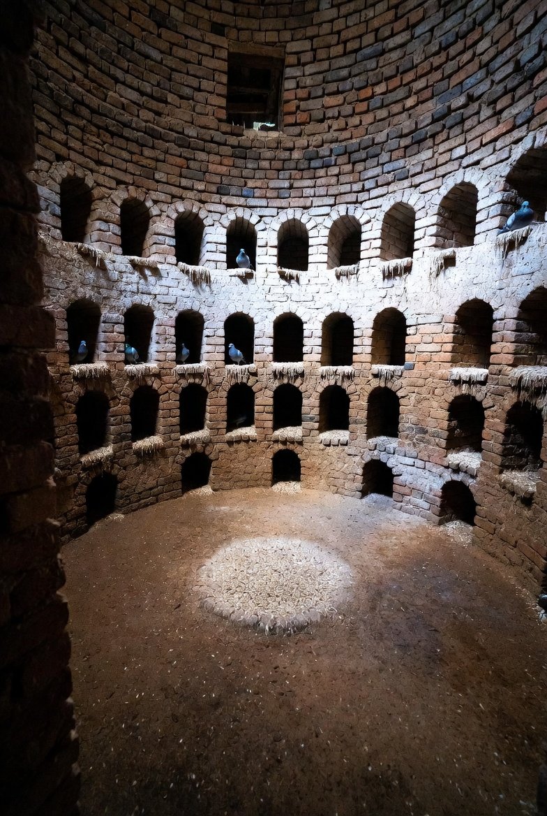 ƮħƐ Ⱥᵾ₲ᵾɌ tweet media