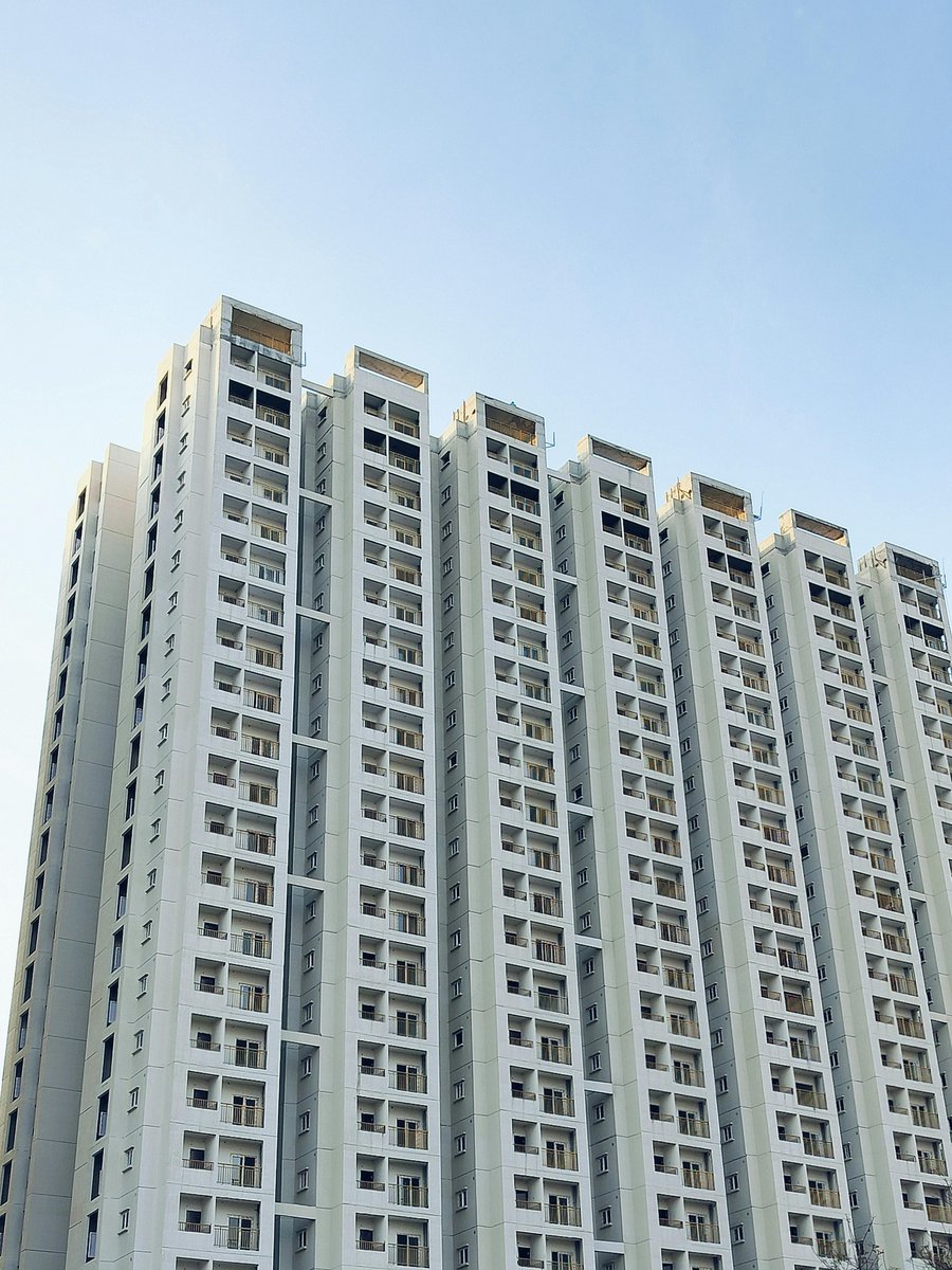 Arlene cruz tweet media