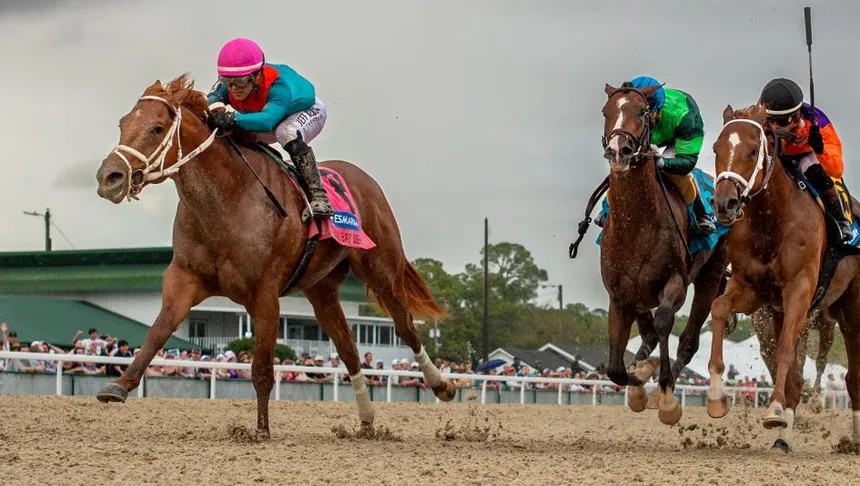 #Hipismo Hace pocos momentos <a href="/agentes305/">Agentes305</a> informó que THE PUMA 🇺🇸 será inscrito en el #FloridaDerby (Gr.1) según GUSTAVO DELGADO Jr., hijo y asistente de <a href="/GDS_Racing/">Gustavo Delgado S</a> El hijo de ESSENTIAL QUALITY salió de perdedor en el #TampaBayDerby (Gr.3) y pinta para grandes cosas.