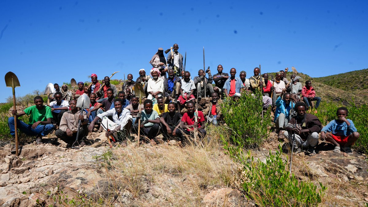 FAOEthiopia's tweet image. Forests restore more than landscapes - rebuild lives. 
In eastern #Ethiopia, conflict-affected #IDPs lead reforestation &amp;amp; dryland farming to reduce climate risks &amp;amp; improve food security. 
Funded by @SwissDevCoop &amp;amp; @Sida, implemented by @FAO with @IOMEthiopia &amp;amp; @UNHabitat_ETH.