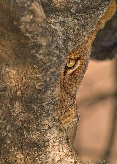 vivaneil (@vivaneil1234) on Twitter photo 