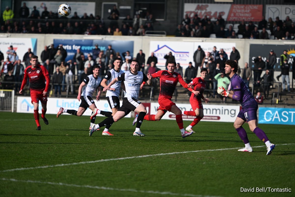 David Bell tweet media