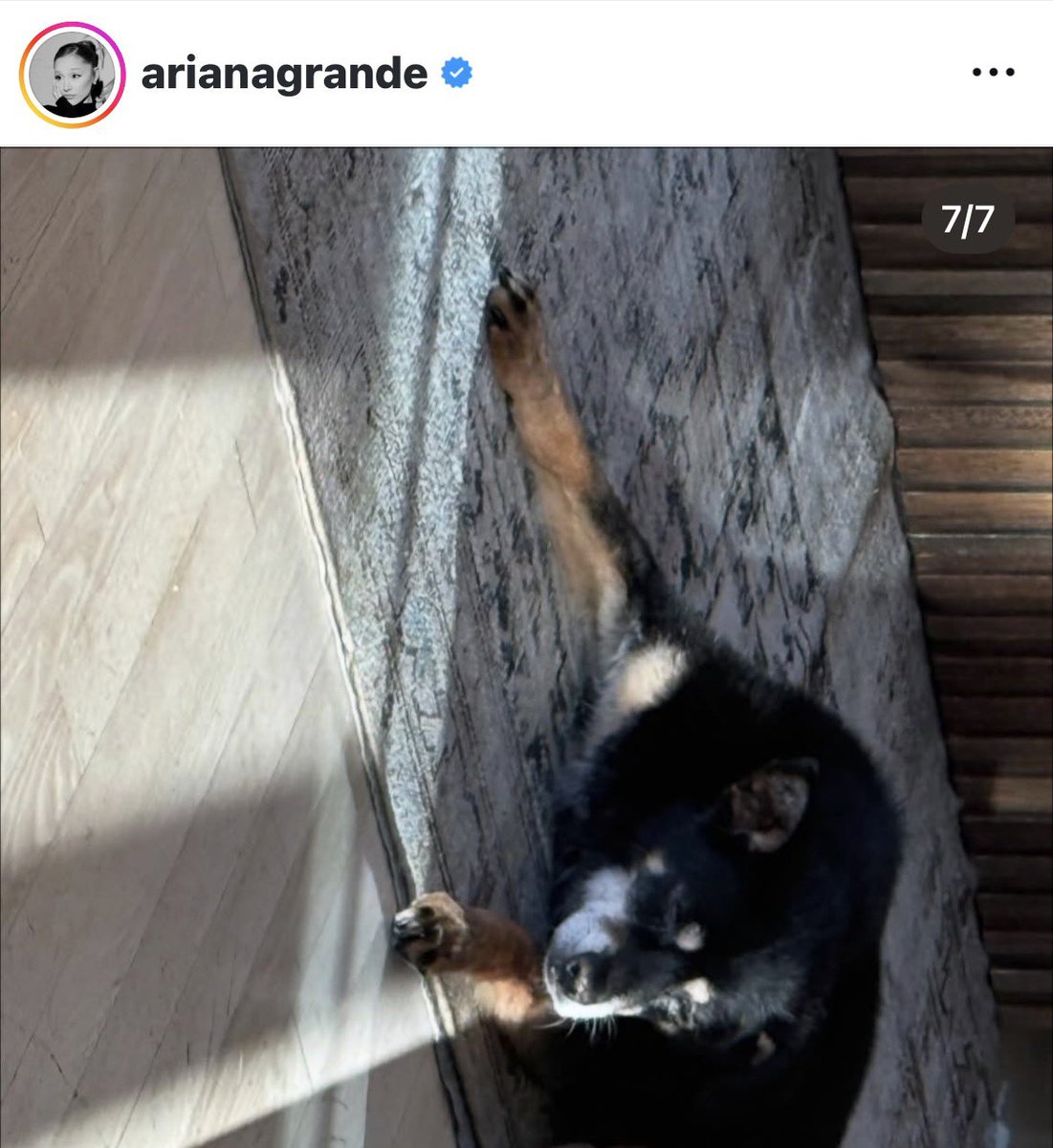 finlay 🫧 tweet media