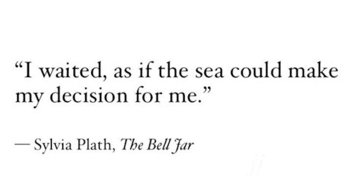 Novelle art. tweet media