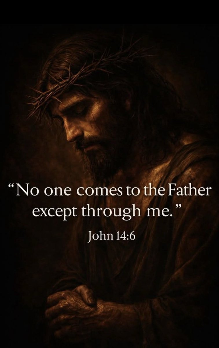 jeanne repetti tweet media